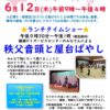 6月みんなの日チラシのサムネイル